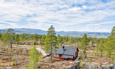 Bilde av eiendommen