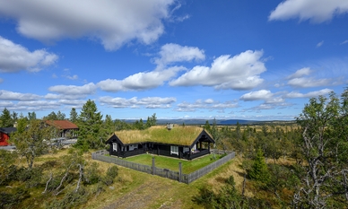 Bilde av eiendommen