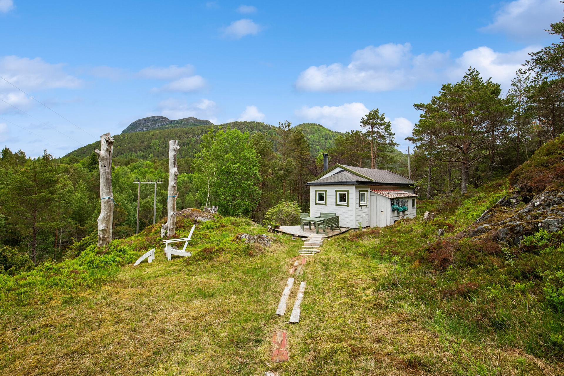Tomten består av naturtomt. Bilde nummer 3 av 3