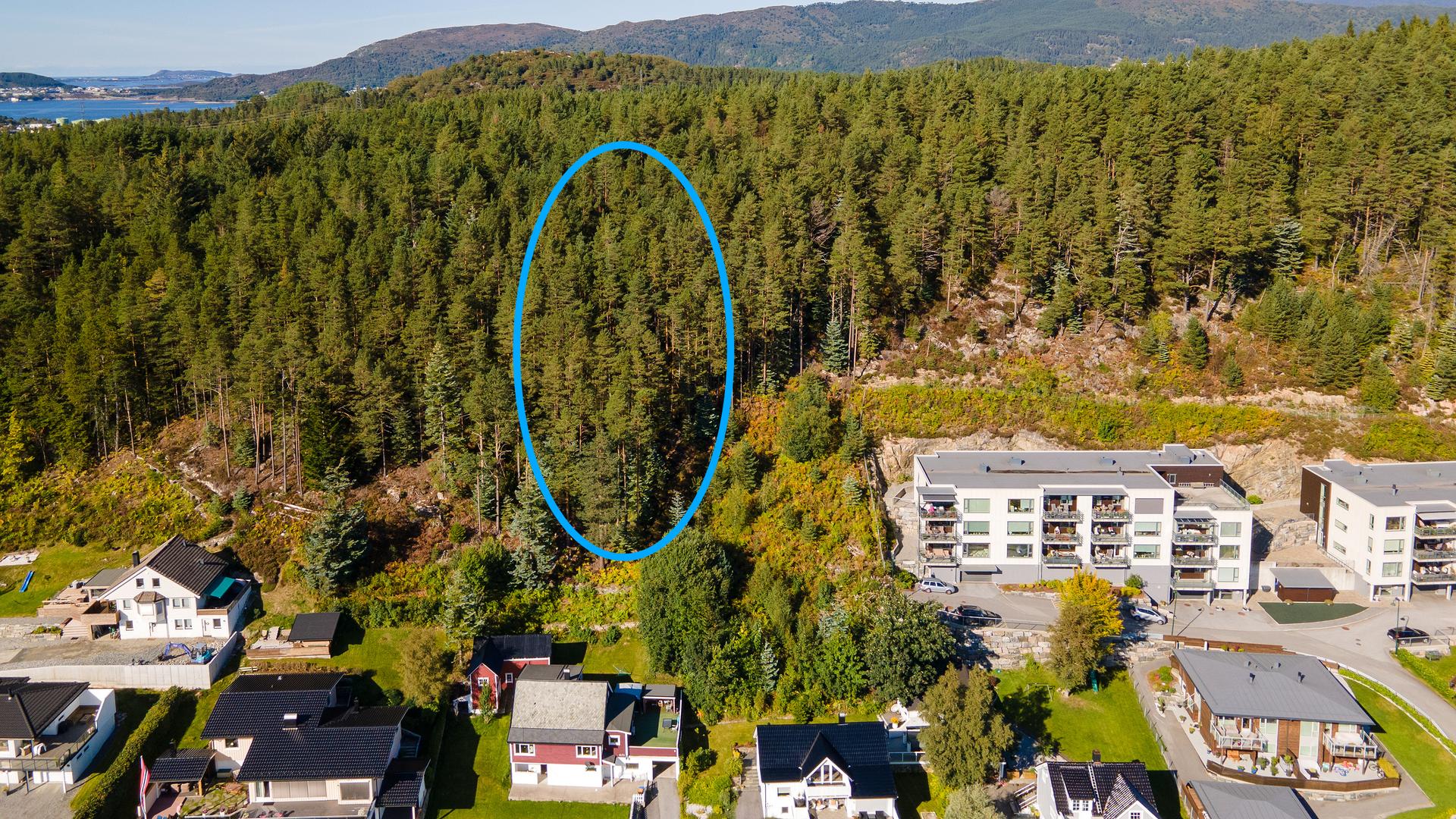 EiendomsMegler 1 har gleden av å presentere denne flotte tomta.Foto: Lillys Studio (Lill Kristin Vold). Bilde nummer 1 av 3