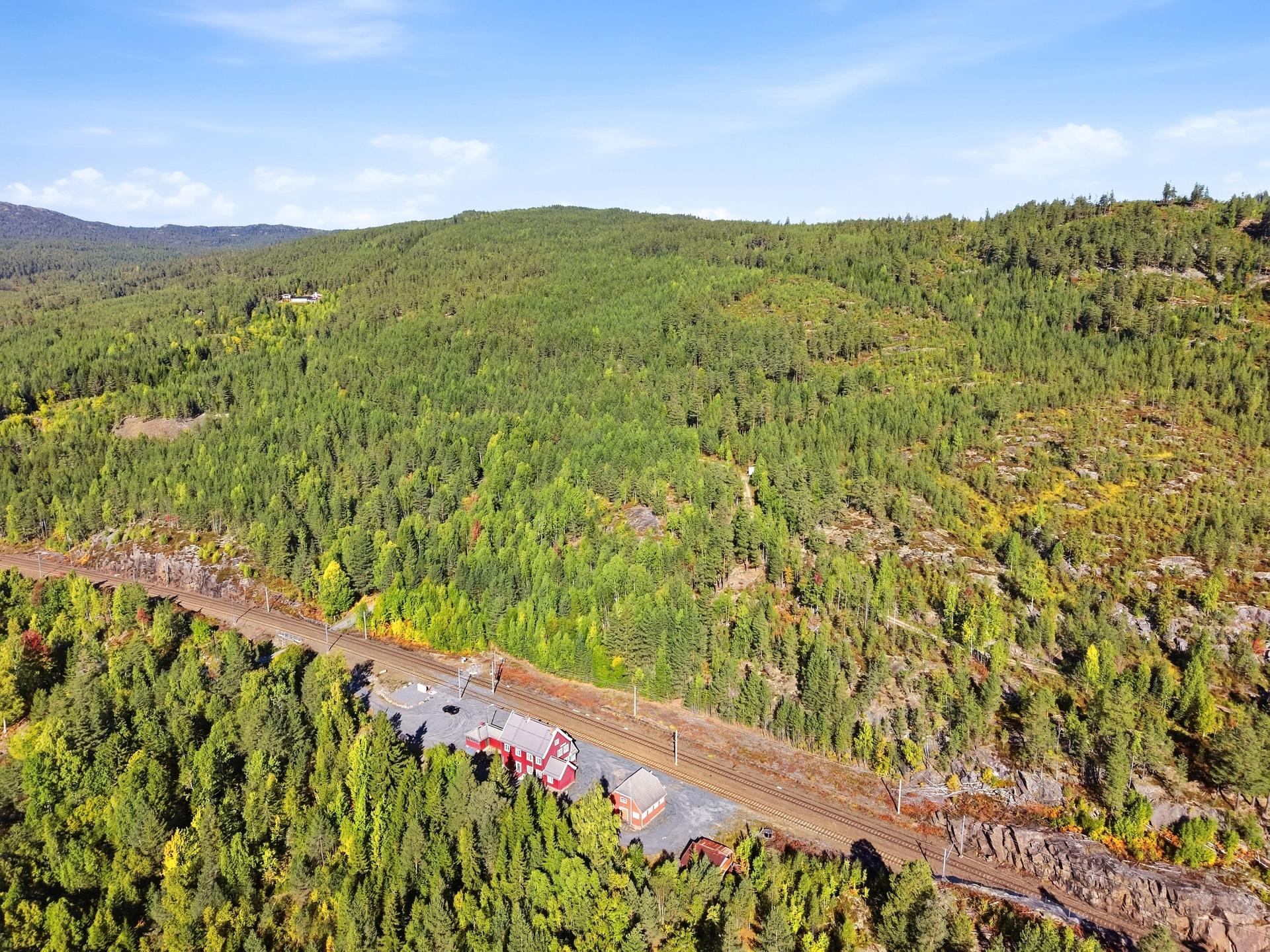 Eiendommen har umiddelbar nærhet til skog og mark med rike turmuligheter hele året.. Bilde nummer 3 av 3