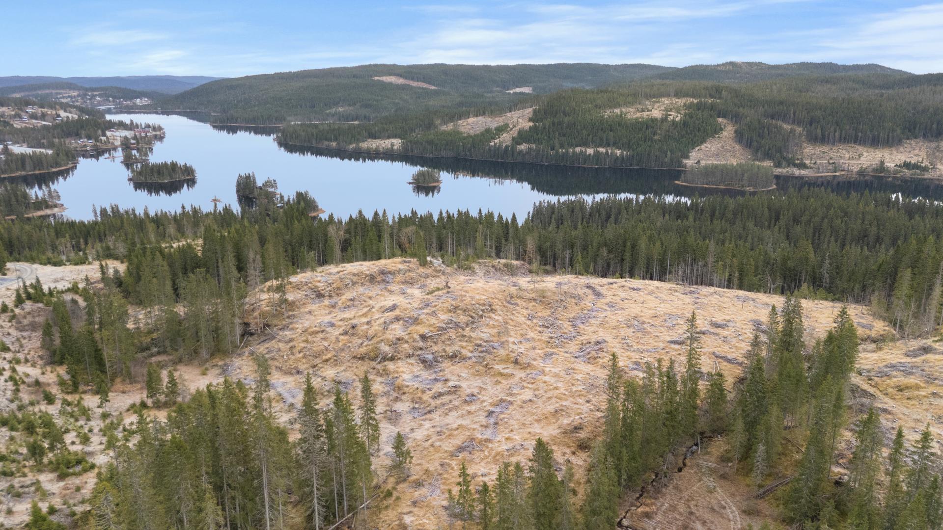 Mylla/Kingesnålen - Detaljregulert tomtefelt selges samlet - Totalt 26 mål - 8 fradelte tomter til hyttebebyggelse. Bilde nummer 3 av 3