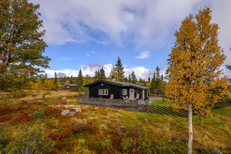 Aksjøen 62