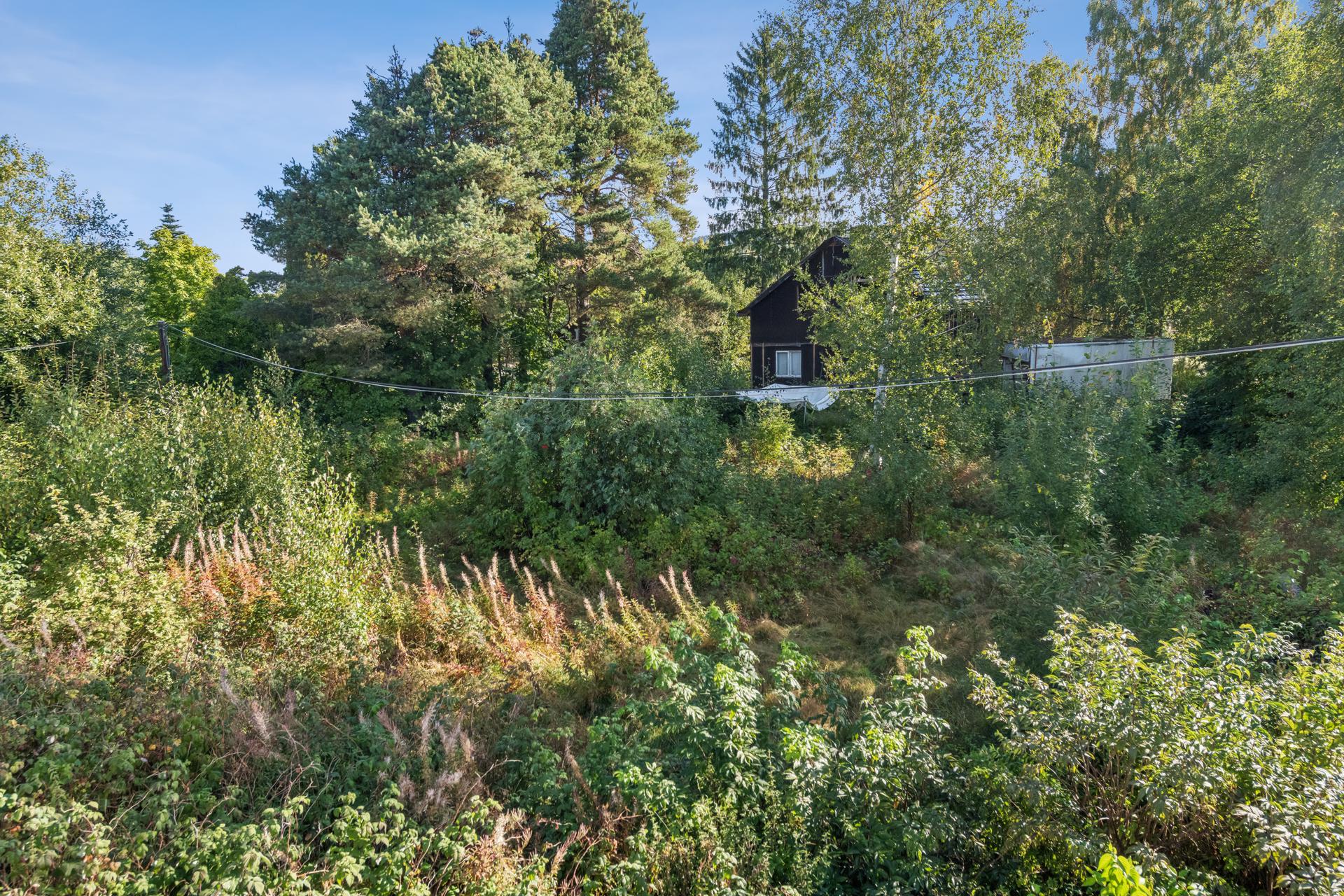 Eiendommen har en stor og usjenert tomt omkranset av frodig vegetasjon og høye trær.. Bilde nummer 3 av 3