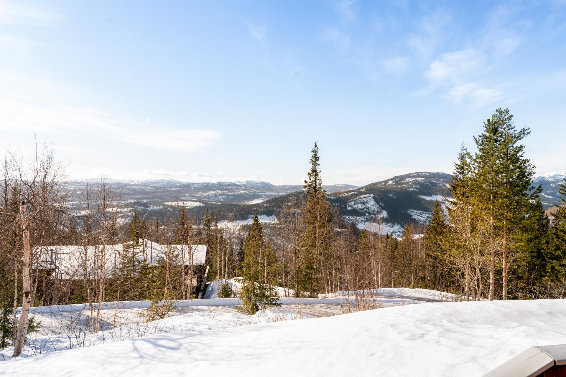 Romslig og sjarmerende familiehytte på Flugonfjell i Tuddal, ca 740 moh., omkranset av vakkert naturlandskap, med fin utsikt og gode solforhold.. Bilde nummer 3 av 3