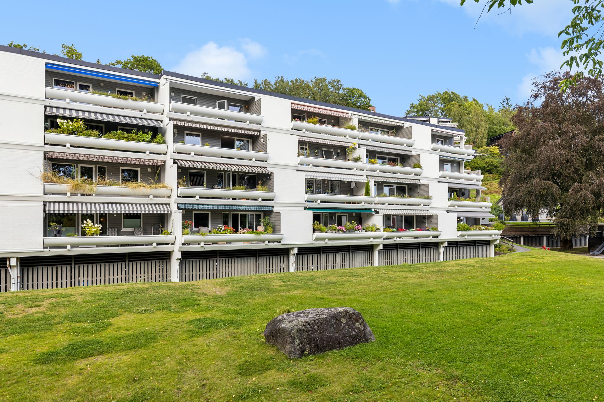 Velkommen til Hamangskogen 96! Foto: Efkt. Bilde nummer 2 av 3