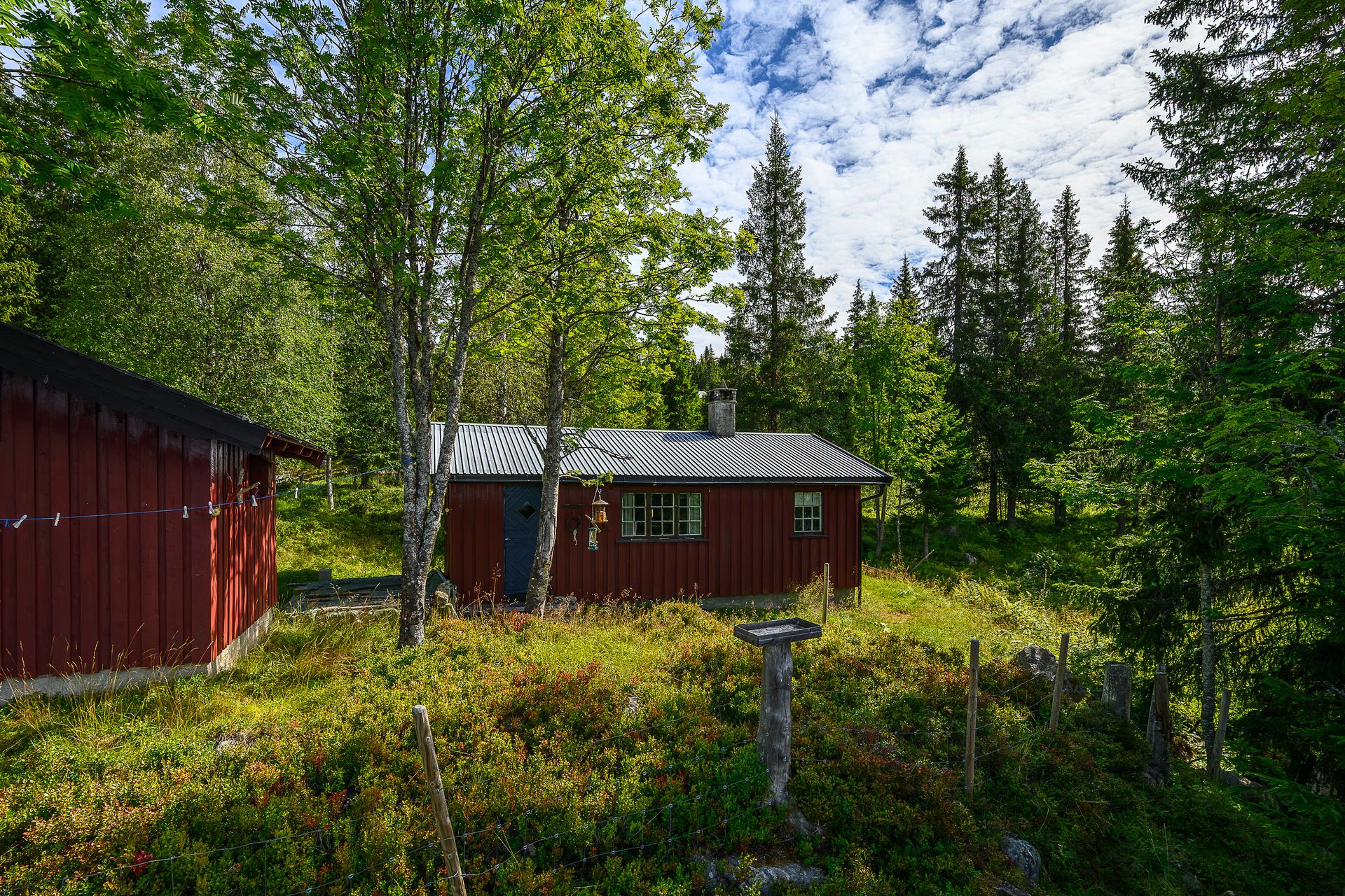 Velkommen til Storkvanndalsvegen 346! For deg som er på jakt etter fred og ro og det enkle hyttelivet. Foto: Lars Marius Bækkevold. . Bilde nummer 1 av 3