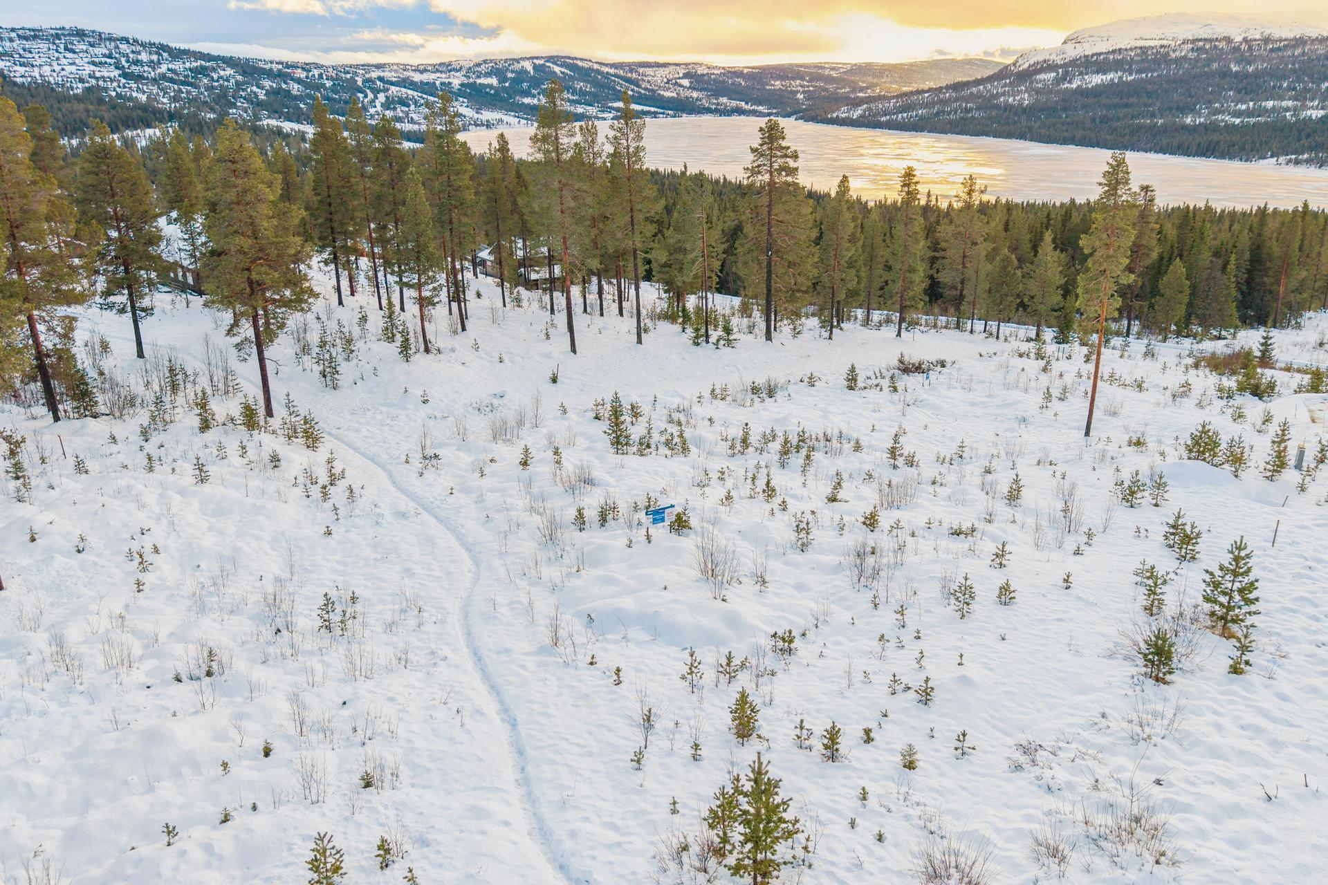 Eiendommen er et utmerket utgangspunkt for turer, med nærhet til Rondane nasjonalpark og et stort løypenett for ski og fotturer.. Bilde nummer 3 av 3