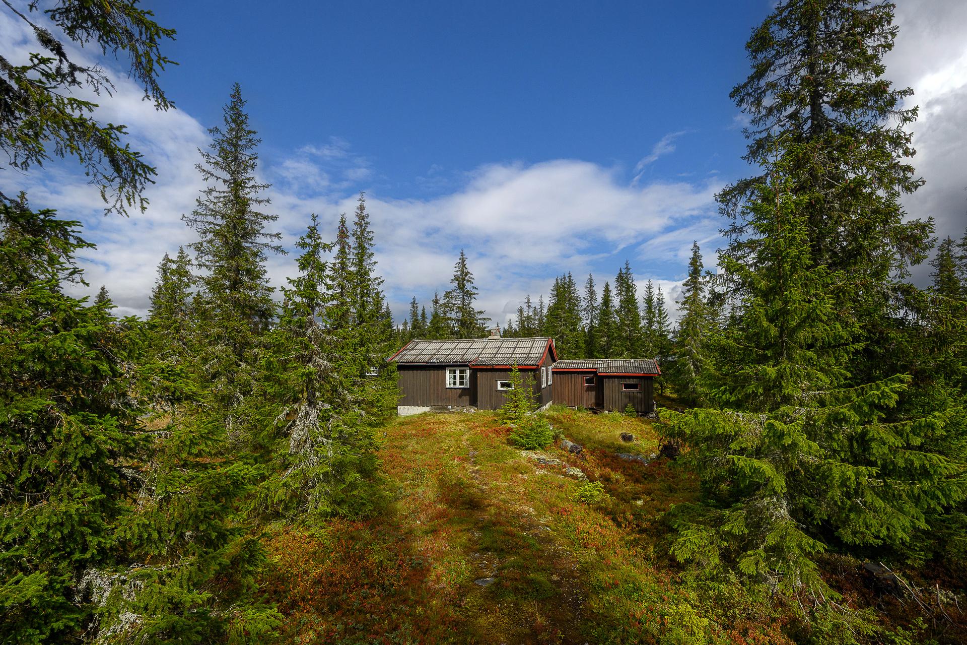 Velkommen til Sjusjøen-Brøttum 2206! Hytte med populær beliggenhet. Behov for betydelig oppgradering.  Foto: Lars Marius Bækkevold.. Bilde nummer 1 av 3