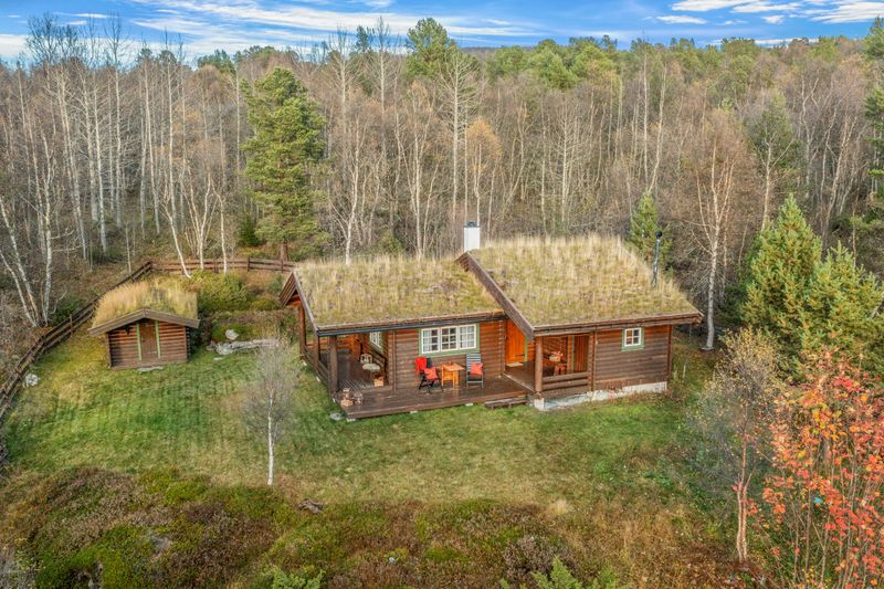 Osvegen 194