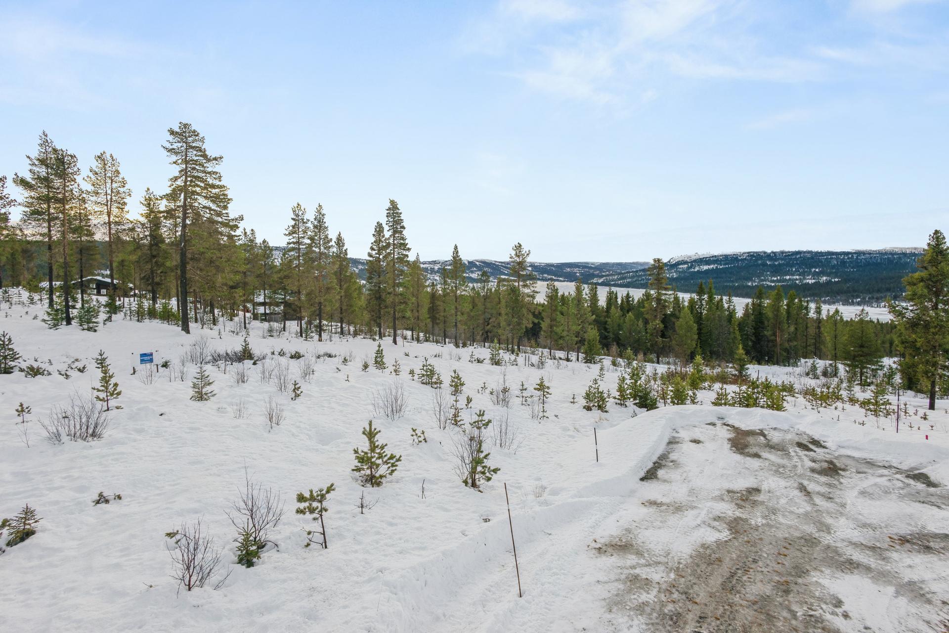 Velkommen til Tiurlitoppen 7!  Fotograf Håkon Rybakken v/Efkt Norge AS. Bilde nummer 2 av 3