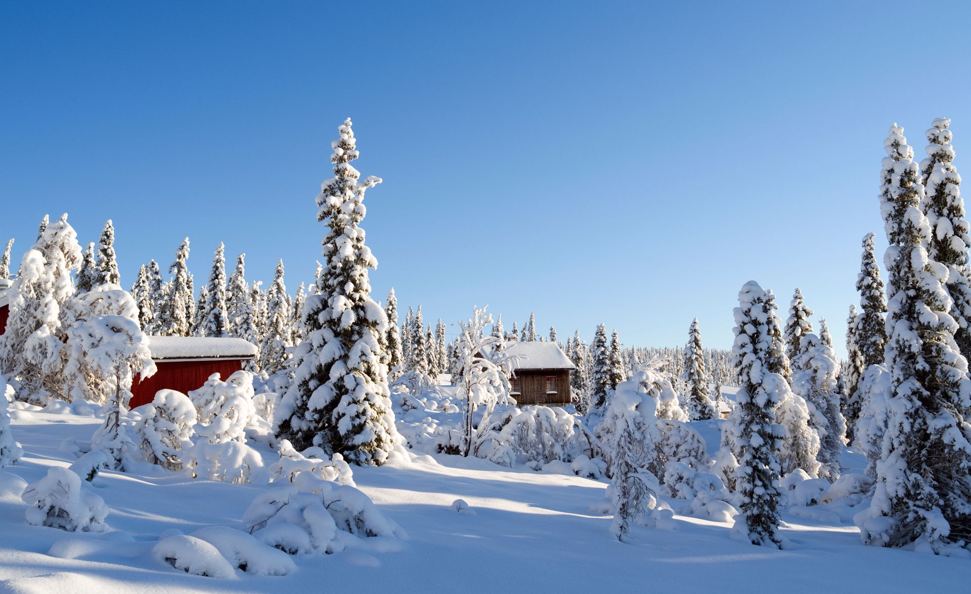 Vinter på fjellet med hyttetun