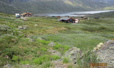 Bilde av eiendommen
