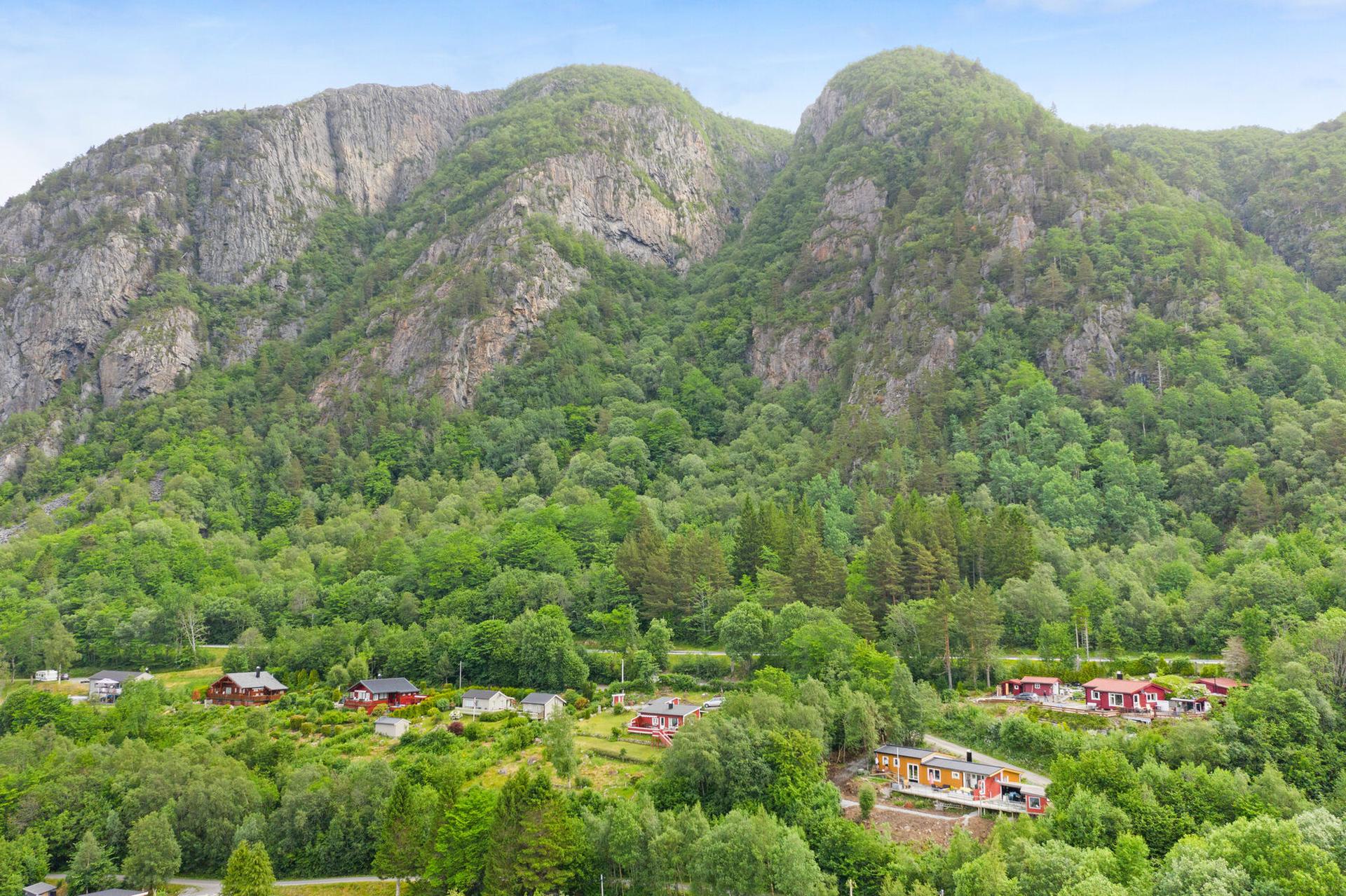 Flott hyttetomt i etablert hytteområde . Bilde nummer 2 av 3