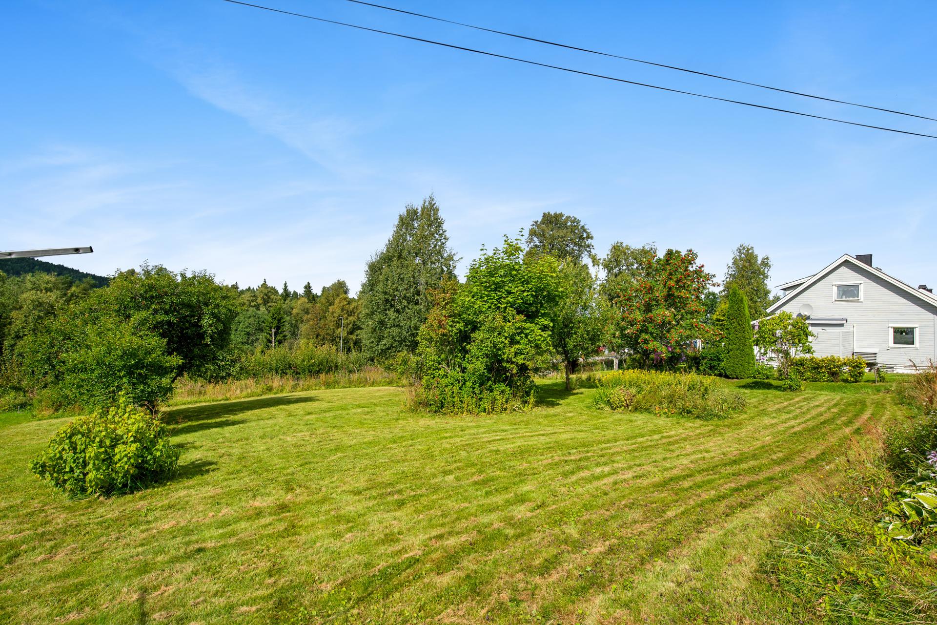 Stor eiet tomt på ca. 1 498,6 m² med en kombinasjon av flatt og lett skrånende terreng.. Bilde nummer 3 av 3