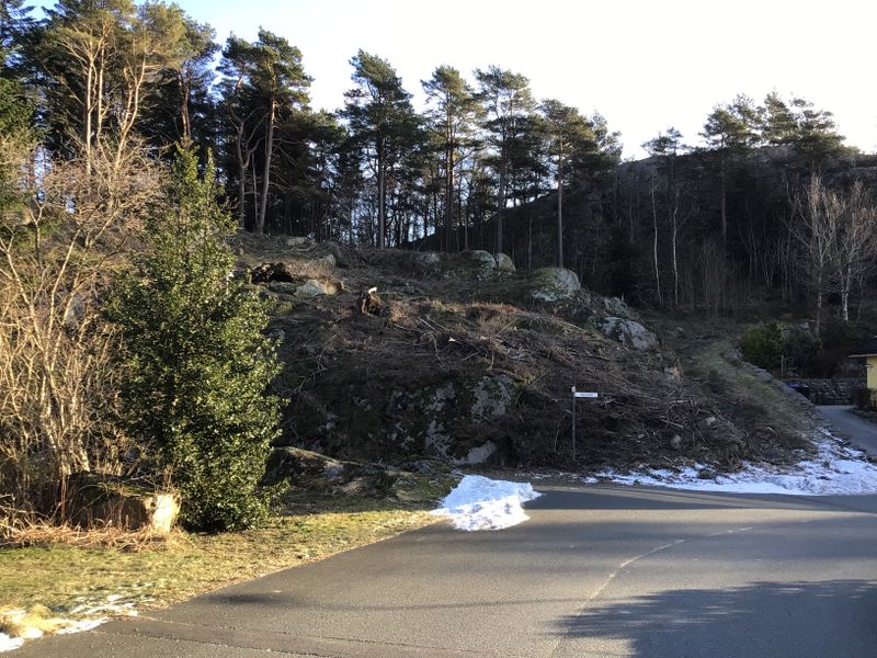 Danefjell 15