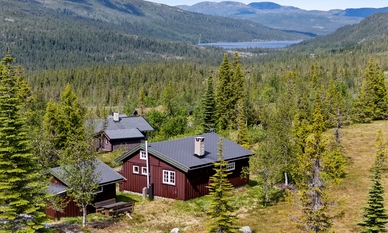 Bilde av eiendommen