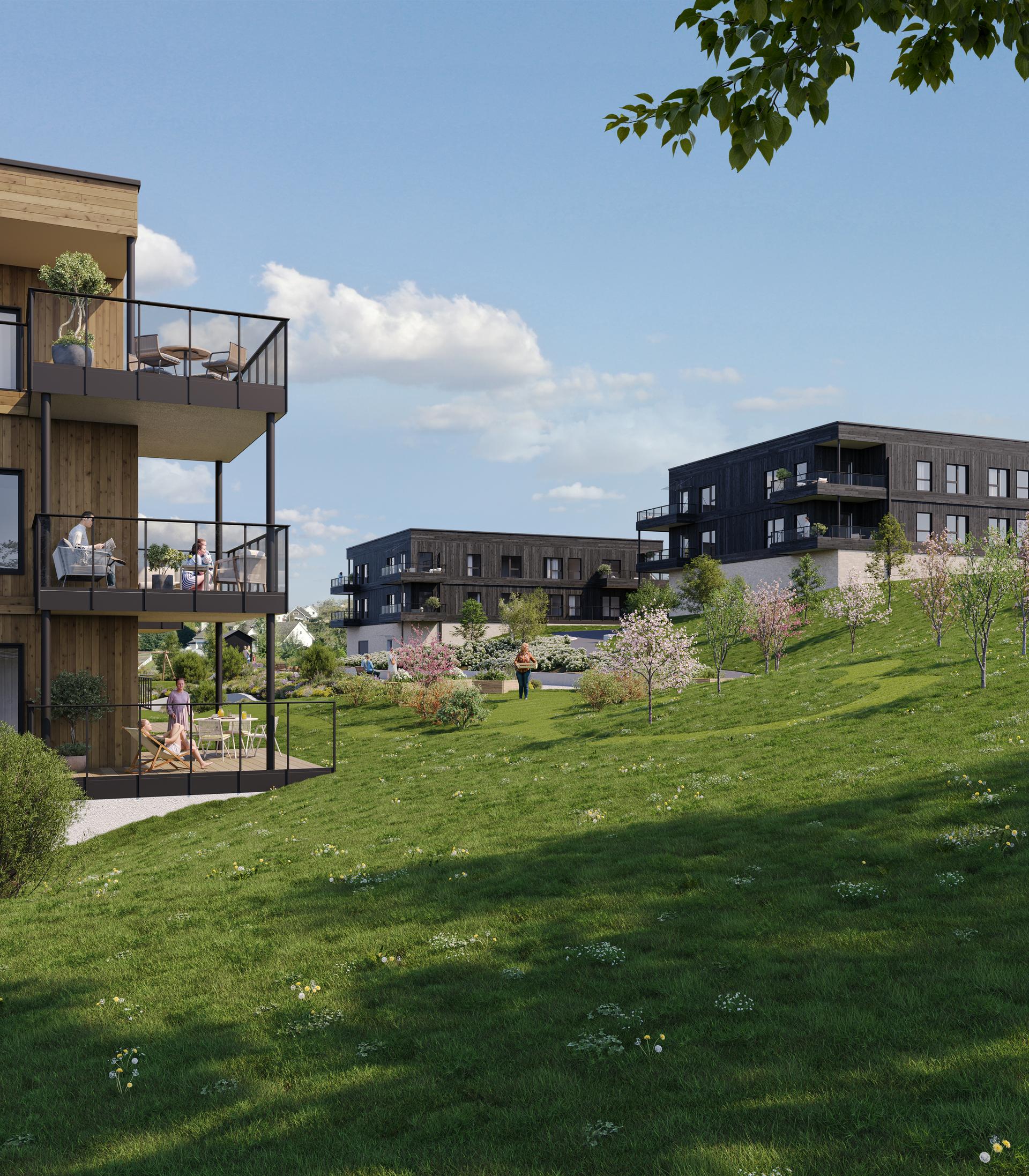 Illustrasjon Lia Hage, Kongsvinger. Det skal etableres en grønt og frodige fellesområde med gangveier og beplantning - avvik vil kunne forekomme.. Bilde nummer 3 av 3