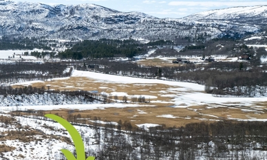 Bilde av eiendommen