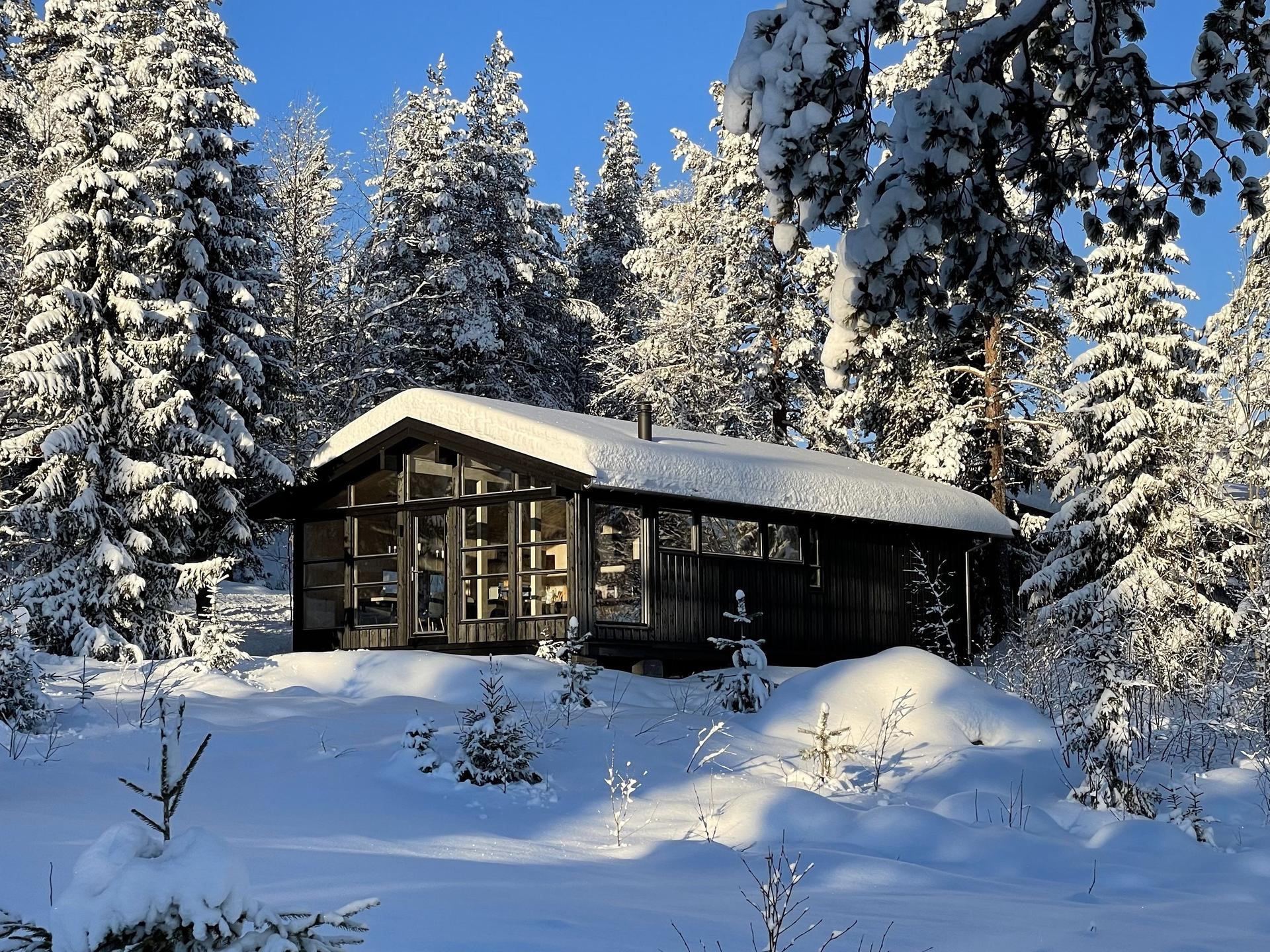 Velkommen til Trysilfjell hytteområde 228! Utvidet og modernisert hytte på Trysilfjellets sørside. Bilde nummer 1 av 3