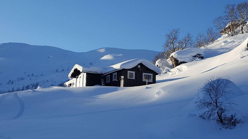 Hunnedalen fnr. 19