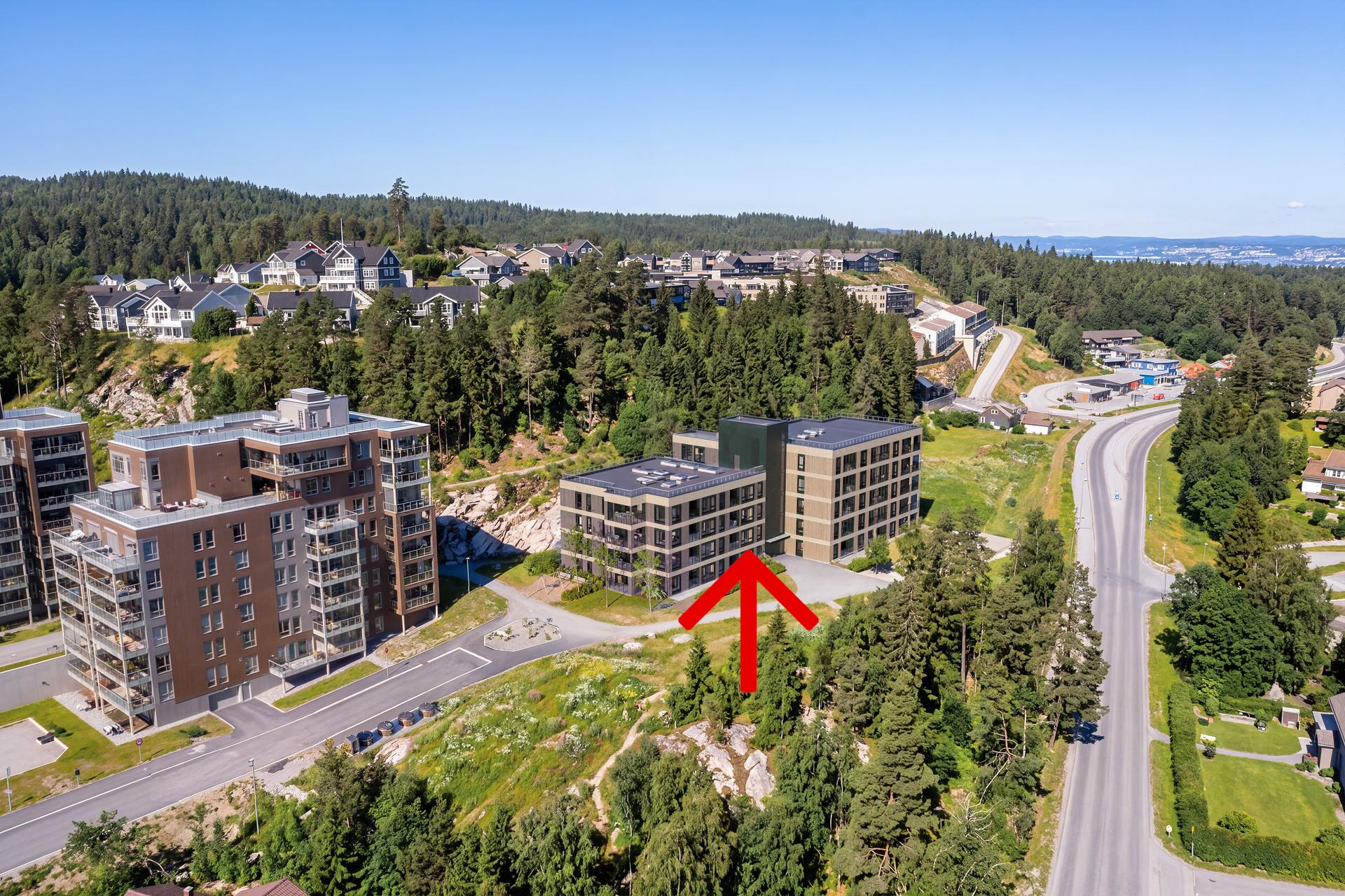 Fin utsikt mot Øyeren. Bilde nummer 3 av 3
