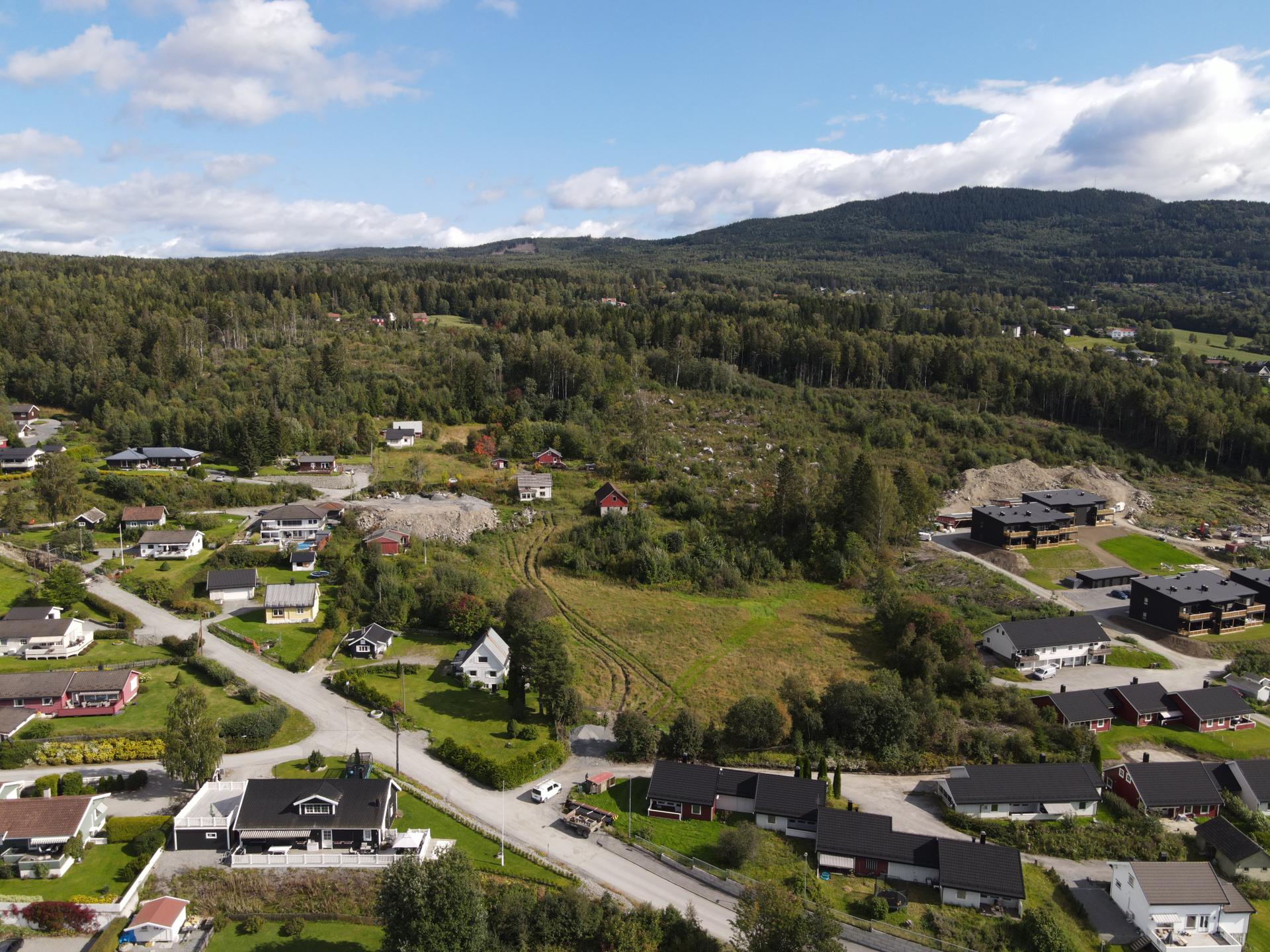 Tomtefeltet, sett fra vest. Bilde nummer 2 av 3