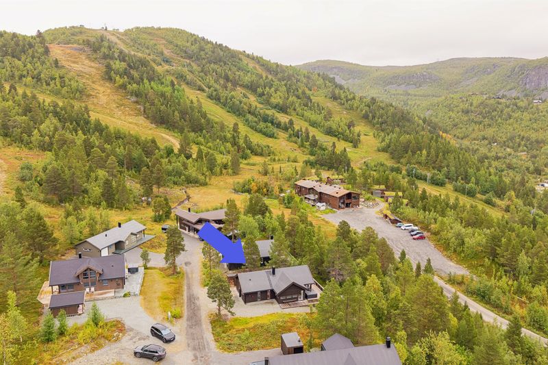 Bjørnfjelltun 12