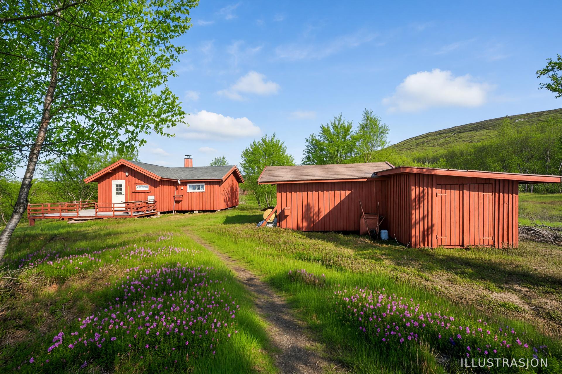 Velkommen til Bugøyfjordveien 680! Foto: EFKT - Slik kan eiendommen se ut på en sommerdag, med grønt landskap og blomstereng. (Illustrasjon). Bilde nummer 1 av 3