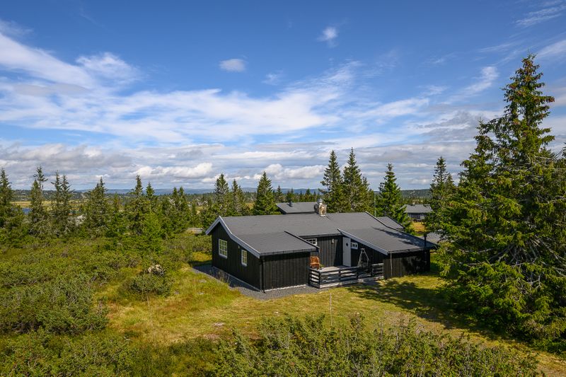 Sjusjøen-Pihl 802