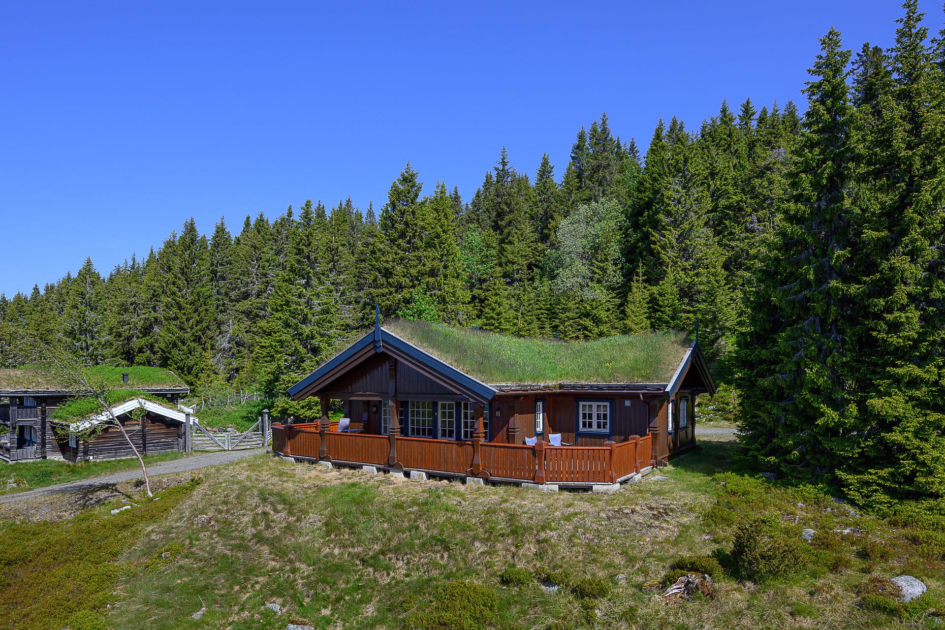 Tradisjonell stavlaft hytte med torvtak.. Bilde nummer 2 av 3
