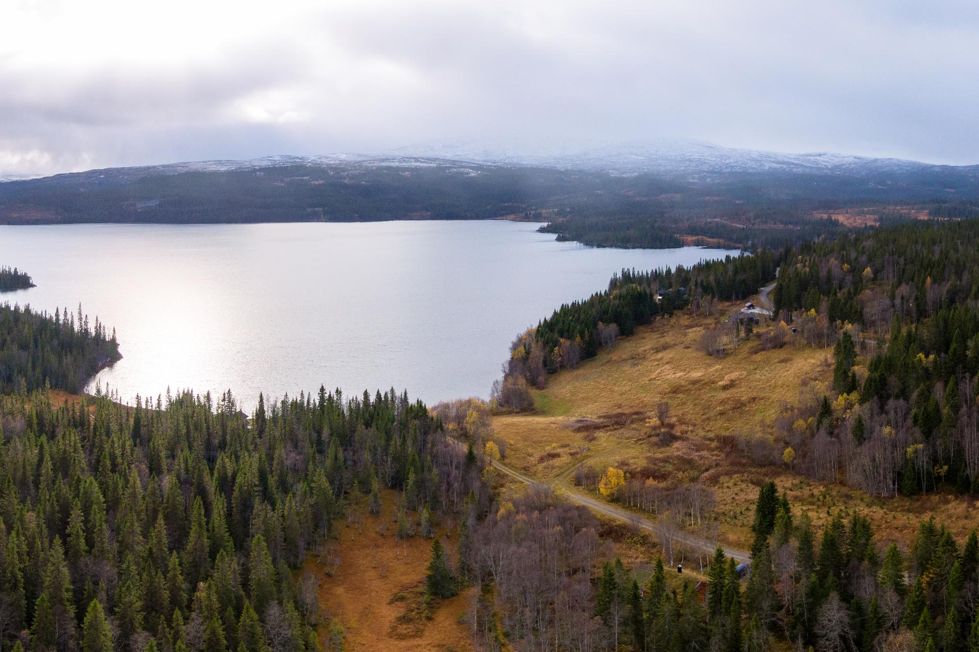 Laksjøen byr på godt fiske både sommer og vinter, og er et populært badested i de varme sommermånedene.. Bilde nummer 2 av 3