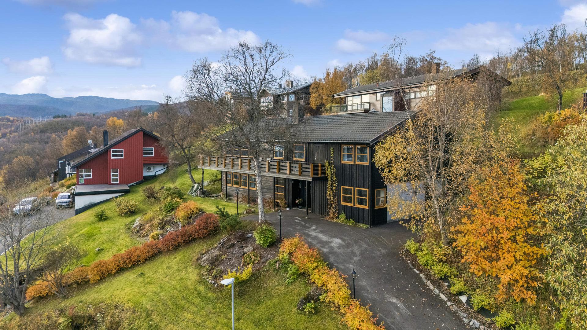 Pent opparbeidet tomt med grøntarealer og asfaltert innkjørsel. . Bilde nummer 3 av 3