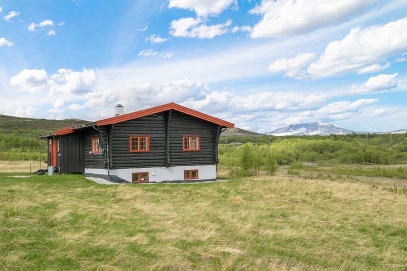 Hjerkinnhusvegen