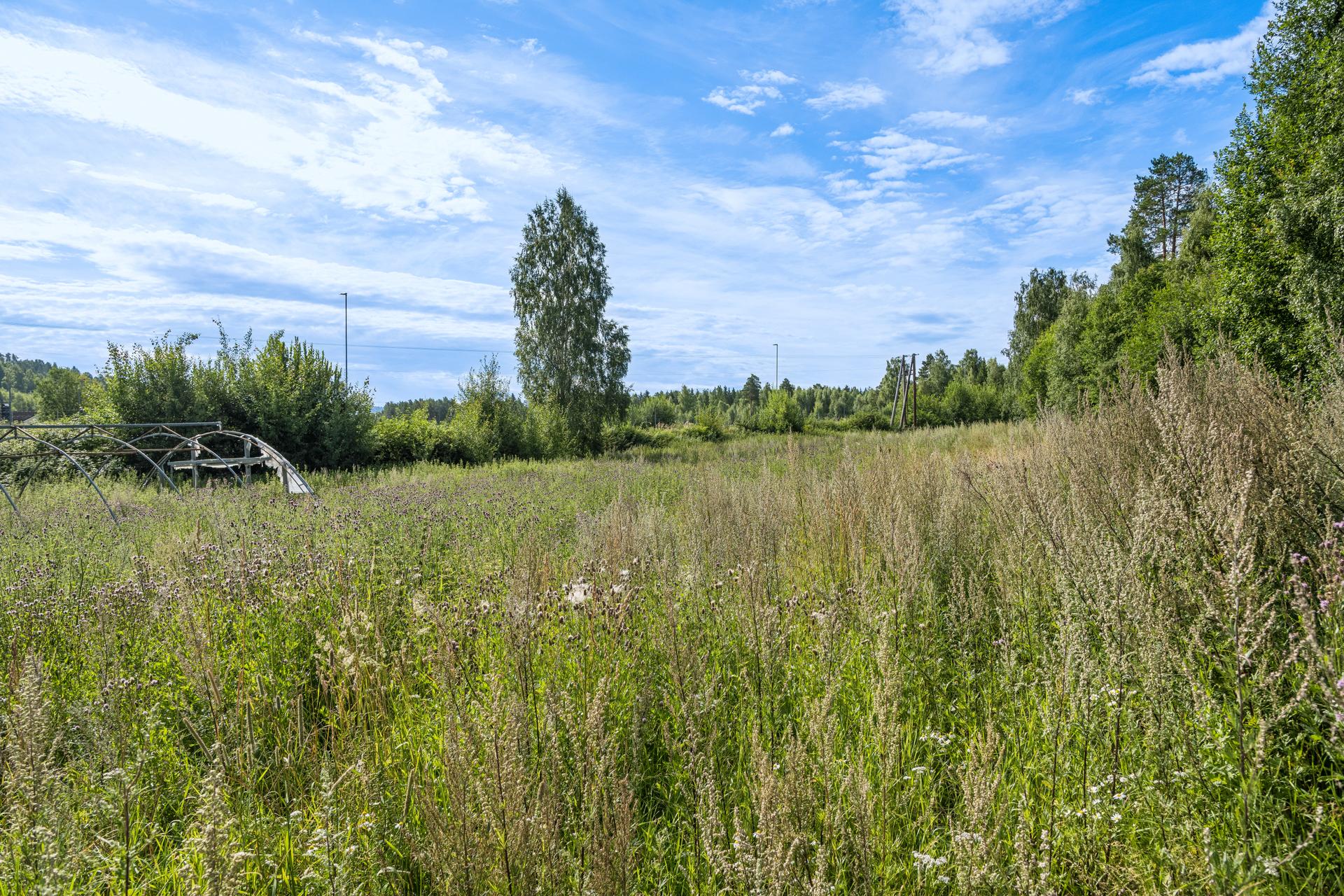 Velkommen til denne tomten i Romedal! Foto: Jonas Hasselgren/EFKT. Bilde nummer 1 av 3