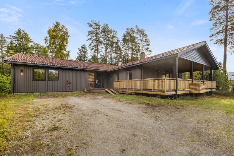 Berget 36