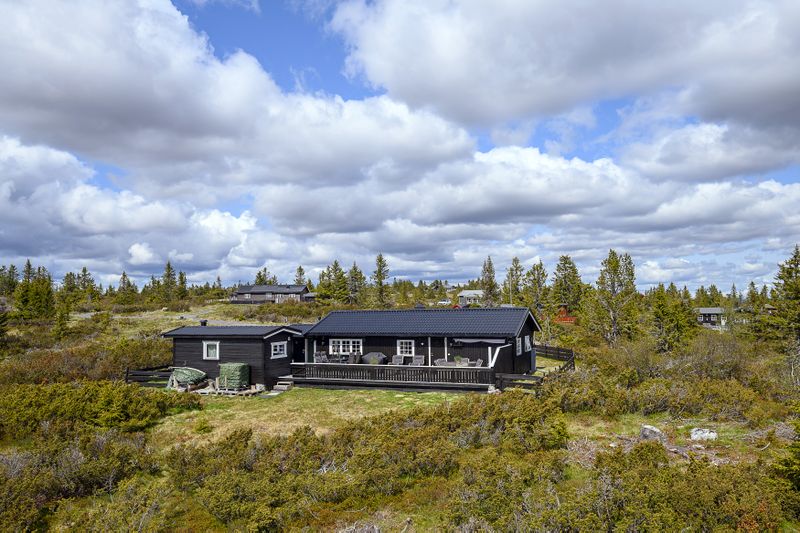 Elgåsen 71