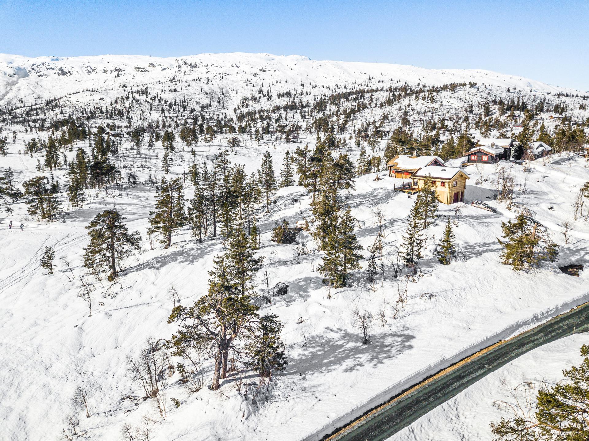 Romslig eiet tomt på ca. 3183 kvm med naturlig skogsvegetasjon. 
På reguleringskartet er tomta avsatt til Tun C. Ifølge reguleringsbestemmelsene er det her mulighet for å sette opp flere hytter. . Bilde nummer 2 av 3