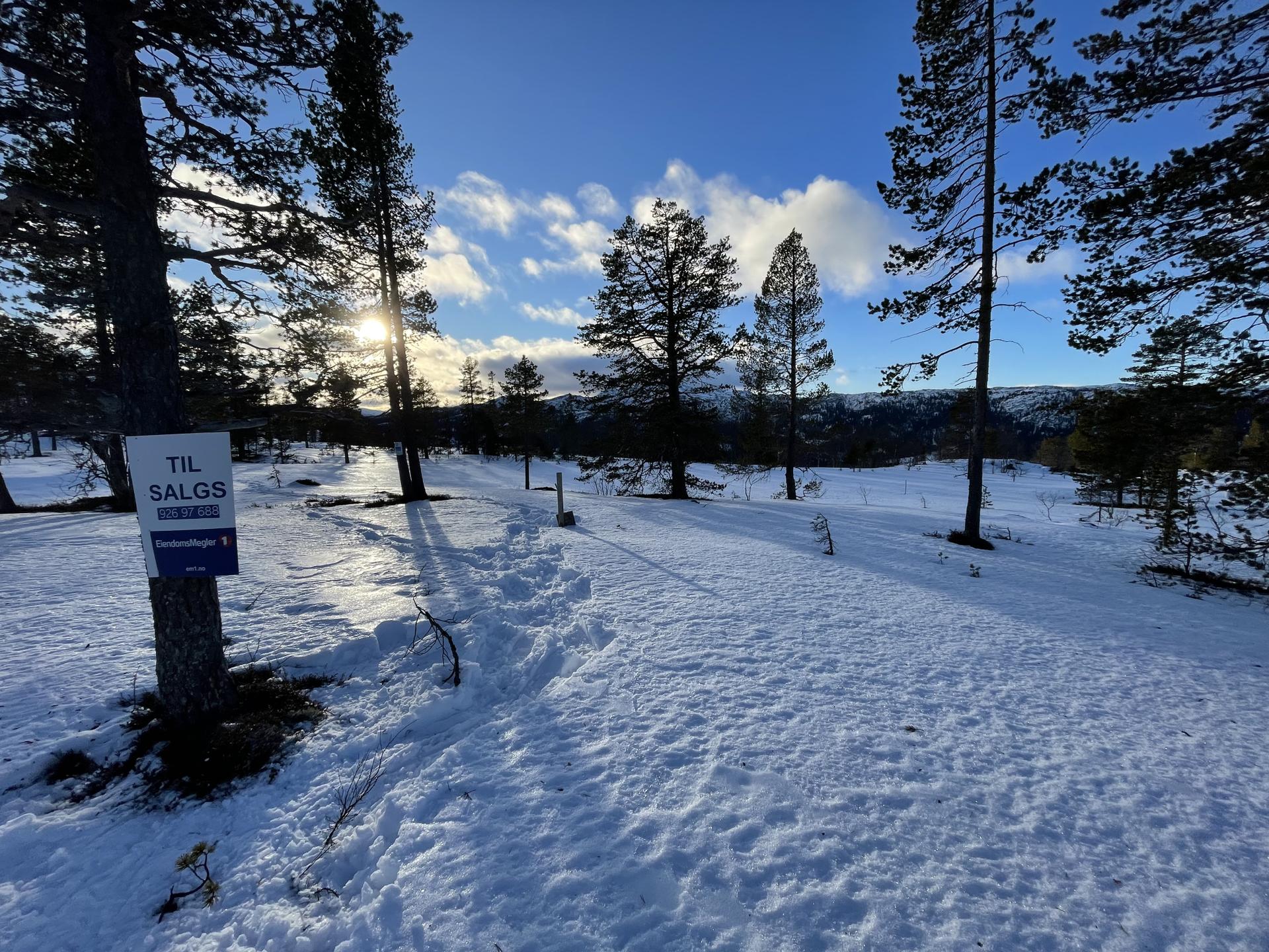 Hyttetomten på 1146.2 m2 har en idyllisk og solrikt beliggenhet med flott utsikt opp mot Gaustaknea, Bonsnos, Bondalen mm.. Bilde nummer 3 av 3