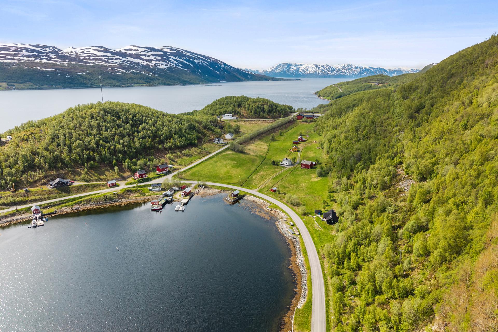 Her kan du nyte naturen til fots, på ski eller med scooter.. Bilde nummer 3 av 3