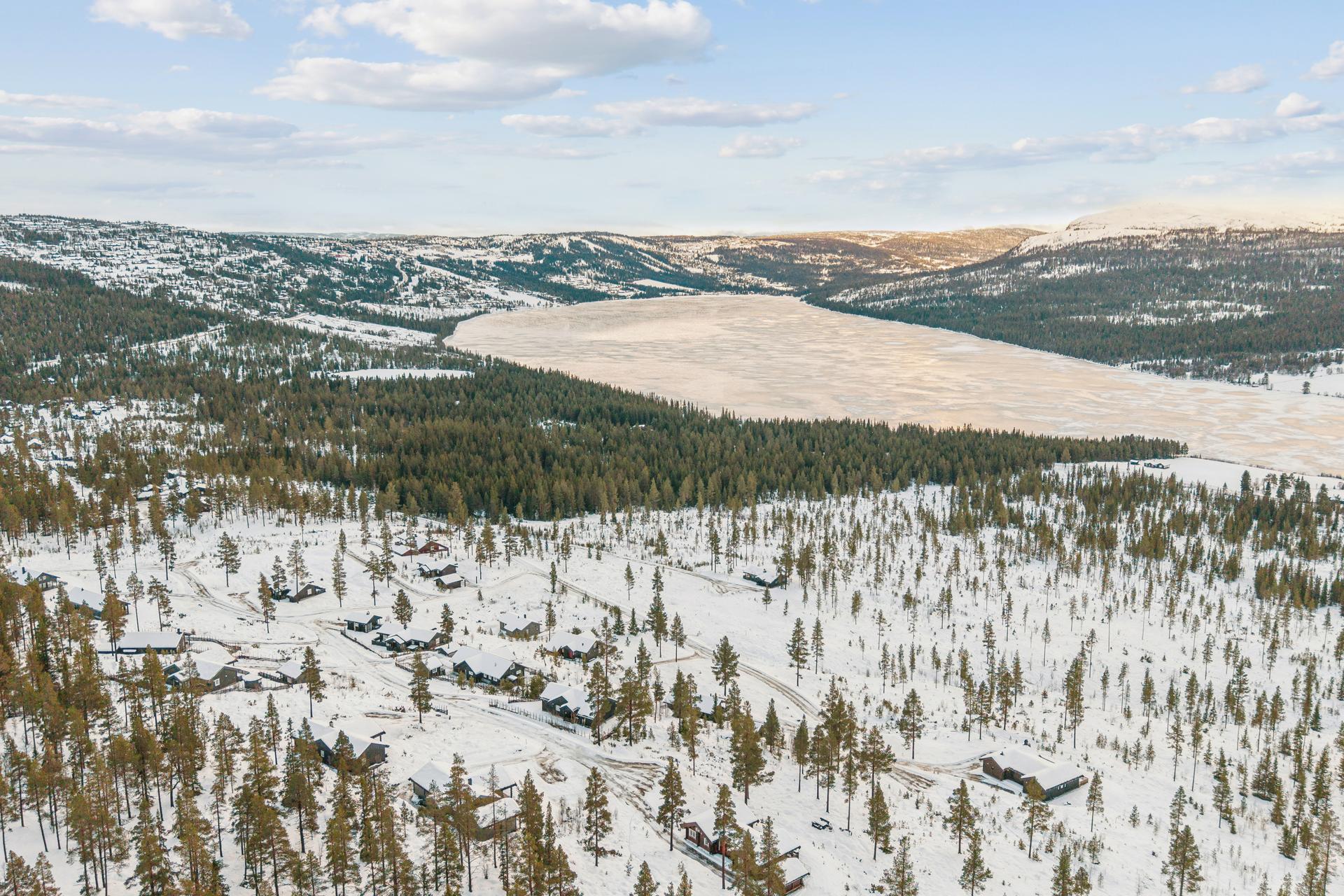 Området byr på storslått natur med utsikt mot Tisleifjorden og fjellene rundt.. Bilde nummer 3 av 3