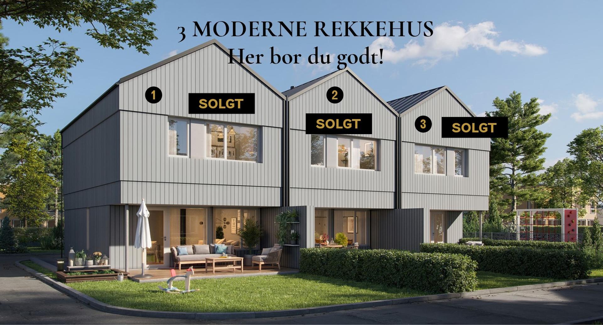  Bilde nummer 1 av 3