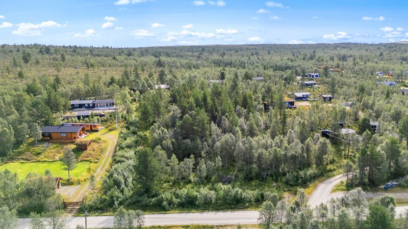 Hånesveien 300