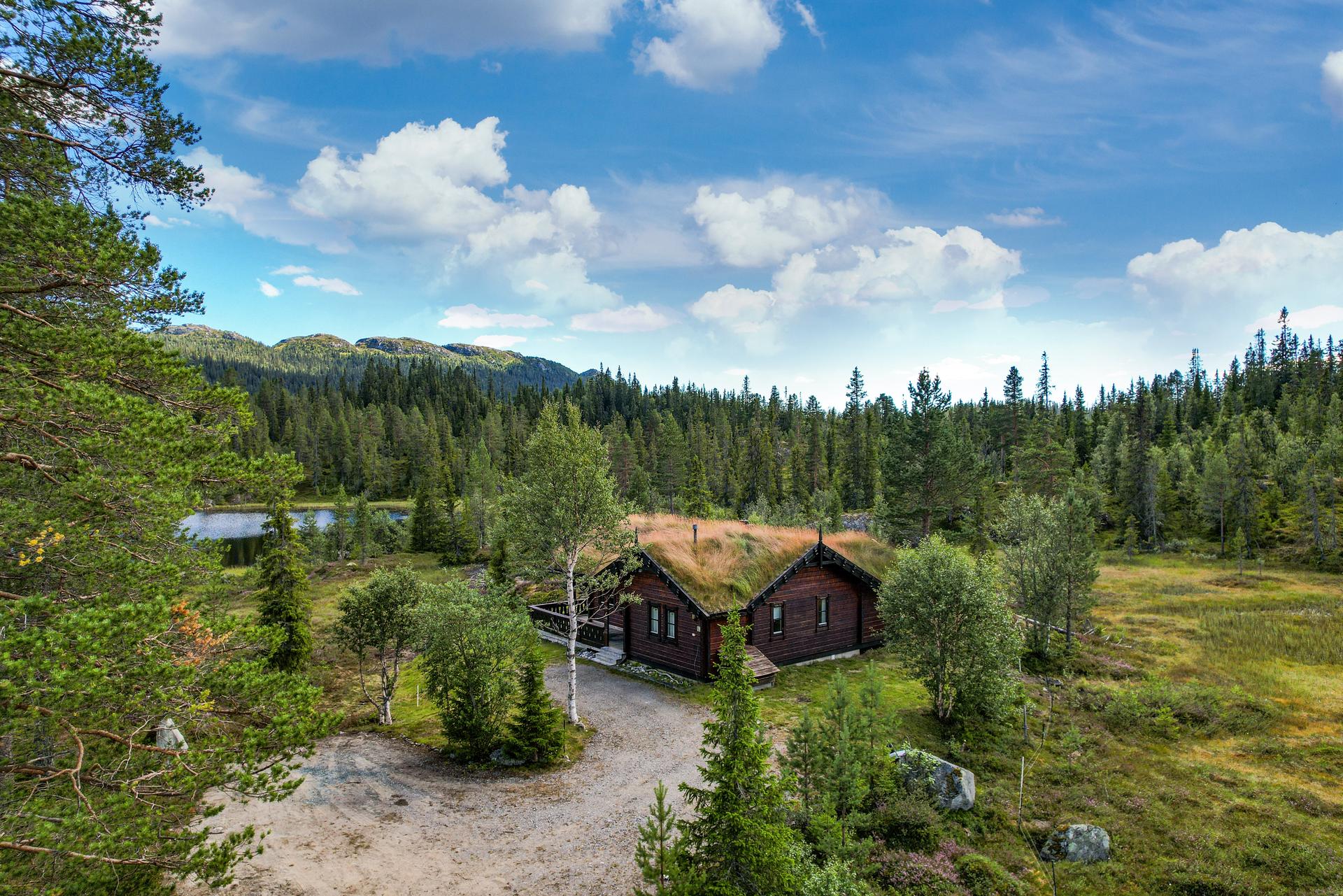 Hytta ligger idyllisk og usjenert til i et etablert hyttefelt med bomvei inn til området, og med skiløyper og fiskevann i umiddelbar nærhet.. Bilde nummer 3 av 3