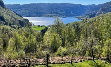 Bilde av eiendommen