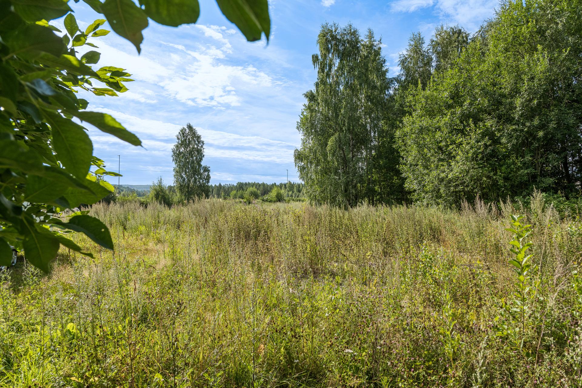 Eiendommen ligger i et vakkert kulturlandskap, med kort vei til rekreasjon i skog og mark.. Bilde nummer 2 av 3
