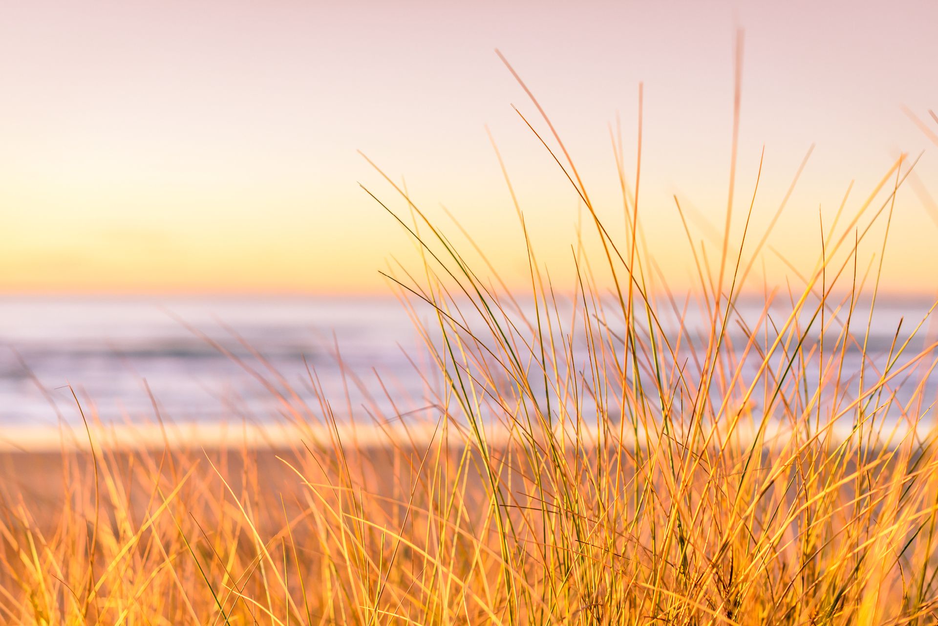 Soloppgang over sjøhorisonten