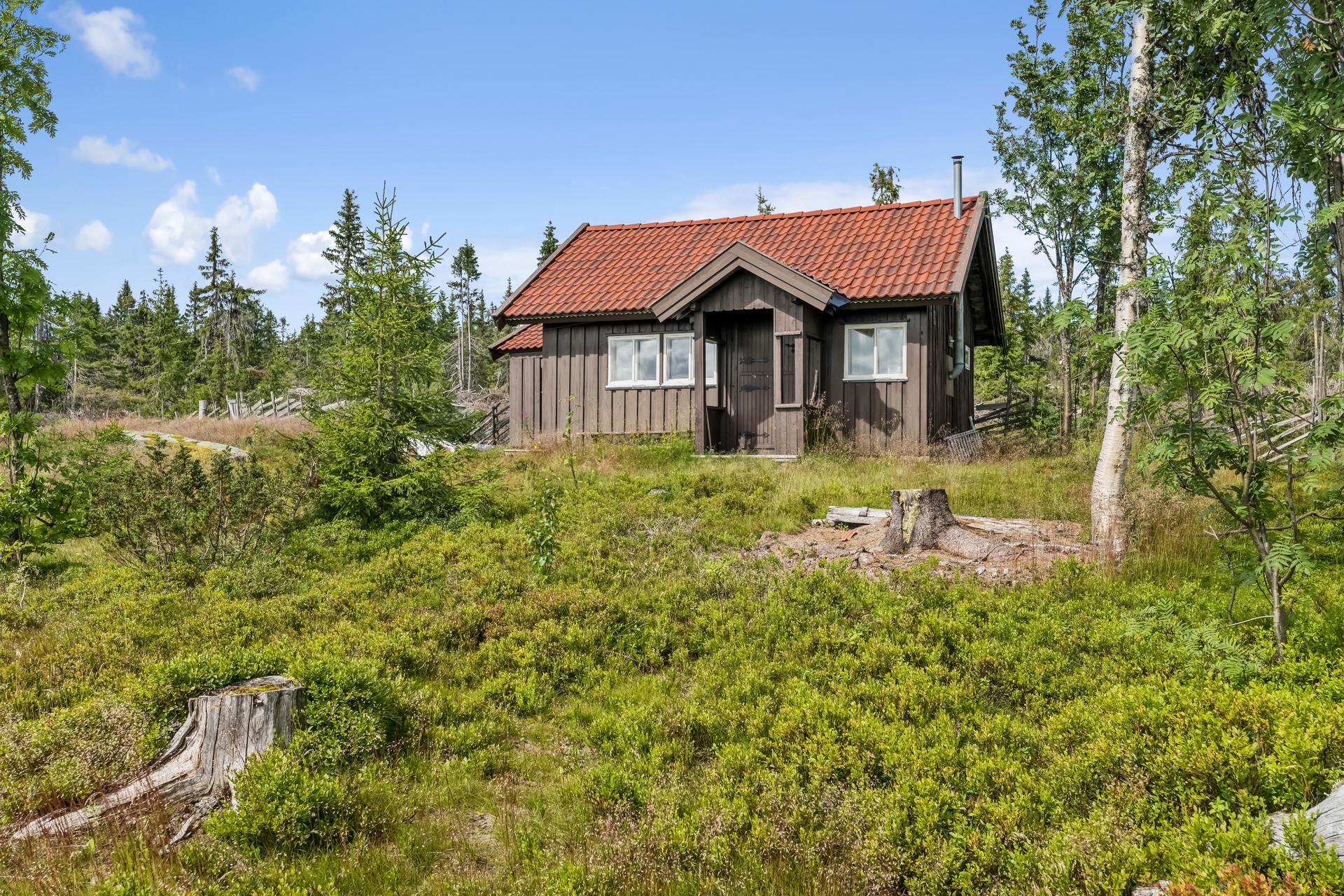 Bilde fra anneks, idyllen som råder.. Bilde nummer 3 av 3