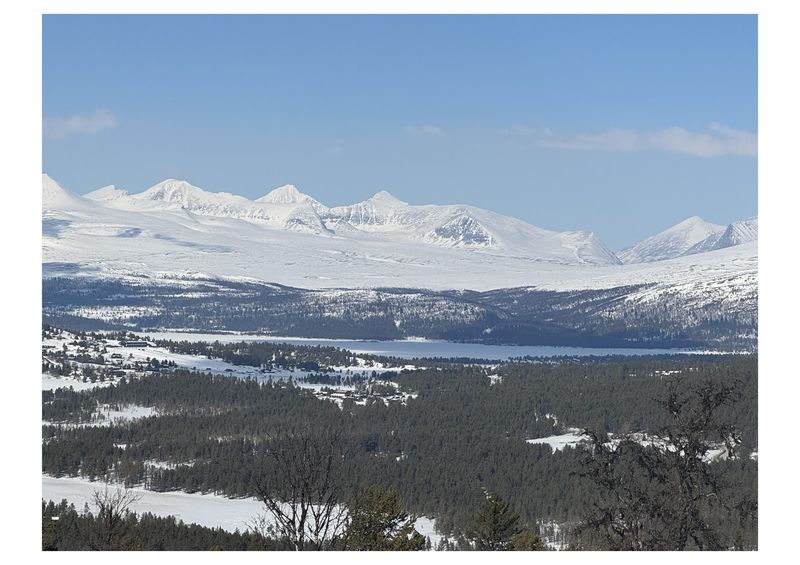 Låvåshaugen 160