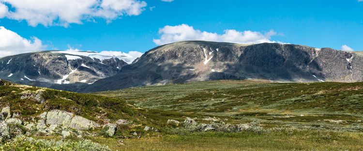 Bilde fra området